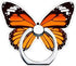 Butterfly Phone Ring Stand Holder, 360 Rotation Finger Ring Grip Stand for Cell Phones, Smartphones and Tablets...
