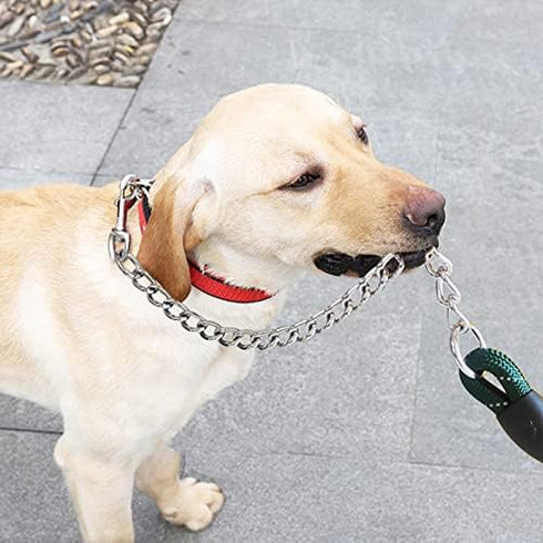BTINESFUL 6FT Chewproof Dog Leash, Strong Nylon Rope with Anti-Chewing Chain and Padded Handle for Medium Large Dogs Outdoor Training Walking Hiki...