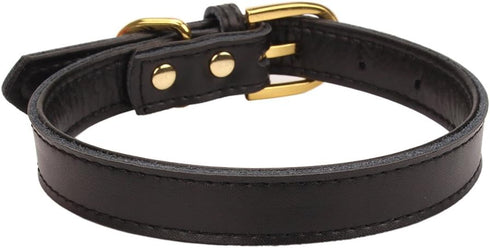 Basic Classic Padded Leather Pet Collars for Cats Puppy Small Medium Dogs (Large, Black)...