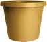 The HC Companies 6 Inch Round Prima Planter - Small Plastic Plant Pot with Rolled Rim for Indoor Outdoor Plants Flowers Herbs, Honey...