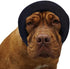 Happy Hoodie The Original Calming Band for Dogs & Cats - for Anxiety Relief – Noise Canceling for Fireworks, Thunderstorms, Pet Grooming & Force D...