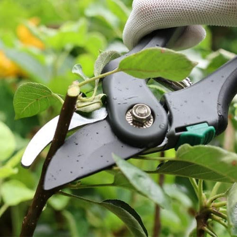 8" Bypass Pruning Shears Gardening Pruners Heavy Duty Secateurs Clippers Handheld Garden Tools for Rose Flower Plants Trimming, 1 Inch Cut...