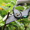 8" Bypass Pruning Shears Gardening Pruners Heavy Duty Secateurs Clippers Handheld Garden Tools for Rose Flower Plants Trimming, 1 Inch Cut...