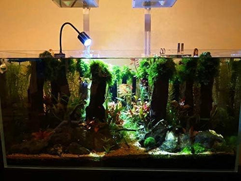 LED Aquarium Light - Freshwater Fish Tank Light Vivarium Terrarium Spotlight 3 Colors 3000K 4000K 6000K Cool Warm White for Planted Fish Tank (3 C...