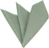 Mens Solid Linen Tie Set : Slim Necktie with Matching Pocket Square (Mint Green)...