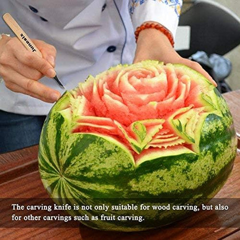 Wood Carving Knife Tool Set, 4pcs Beginners Manual Sharpener Rubber Stamp Knife Carving Tools Set for Chisel DIY Woodworking Carving (#2)...