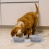 3-in-1 Foldable Slow Feeder Dog Bowls with Non-Spill Silicone Mat - Perfect for Large, Medium, and Small Breeds - Promotes Healthy Eating Habits -...