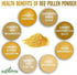 Alovitox Bee Pollen Powder | 100% Pure, Natural Raw Bee Pollen - Antioxidants, Proteins, Vitamins B6, B12, C and A, Amino Acids and More (Bee Poll...