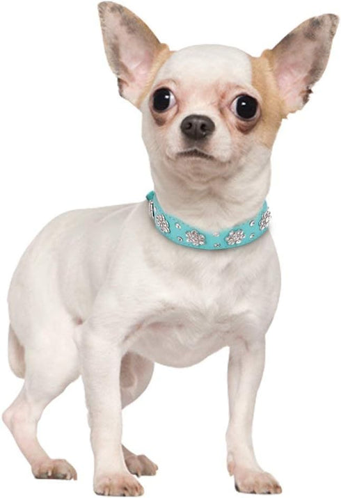 Rhinestone Dog Collar, Cute Flower Rhinestone Cat Dog Collar Bling Collar PU Leather Collar Adjustable Sizes Small Medium Large (M, Blue)...