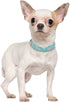 Rhinestone Dog Collar, Cute Flower Rhinestone Cat Dog Collar Bling Collar PU Leather Collar Adjustable Sizes Small Medium Large (M, Blue)...
