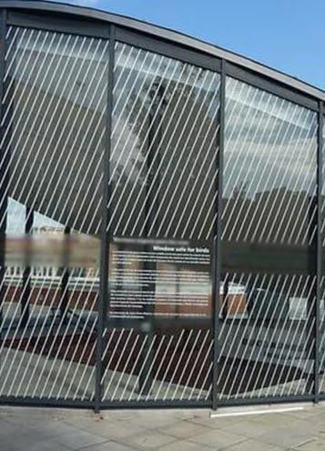 White Bird Tape for Windows (3/4" x 40' - Covers 2 to 3 Windows) | Window Decals to Prevent Bird Strike Prevention for Windows | White...