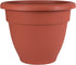 The HC Companies 12 Inch Caribbean Planter - Lightweight Indoor Outdoor Plastic Plant Pot for Herbs and Flowers, Clay...