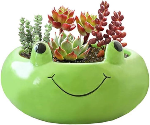 123Arts Ceramic Frog Planter Succulent Planter Hand Painted Flower Pot Animal Planter...