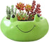 123Arts Ceramic Frog Planter Succulent Planter Hand Painted Flower Pot Animal Planter...