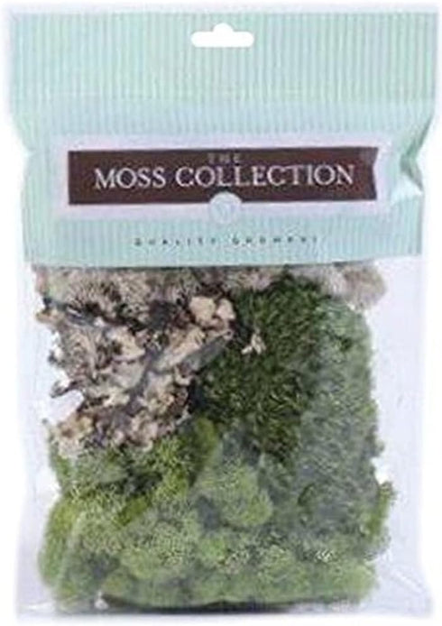 Quality Growers Variety Pack Moss 108.5 Cubic Inches (Old Edition Moss)...