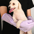 Long Sleeve Silicone Pet Grooming Gloves Cat Bathing Gloves Dog Massaging Gloves Pet Hair Removal Gloves Pet Shampoo Gloves for Kitchen, Bathroom ...