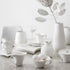 Villeroy & Boch New Wave Tea Cup Saucer, 7 x 6 in, Premium Porcelain, White...