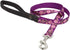 LupinePet Originals 3/4" Rose Garden 4-Foot Padded Handle Leash for Medium and Larger Dogs...