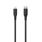 Motive Black USB-C to Compatible Lightning Charging Cable......
