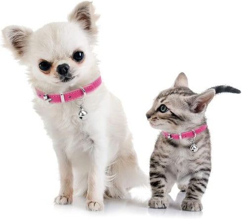 ChengFu XXS Dog Collar Teacup Dog Collar, Pink Dog Collar, Teacup Dog Collar for Small Dogs Cats, Pink, 3/8 inch Width...
