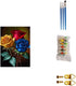 BOMUVI Paint by Numbers Kit for Adults Paint by Numbers for Adults Paint by Numbers Beginner DIY Paint by Number Kits Acrylic Painting Paint by Nu...