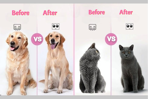 Cat grooming brush, Cat fur brush, Pet hair brush, Dog grooming brush, Dog slicker brushes for grooming, Tool Gently Removes Loose Undercoat, Brus...