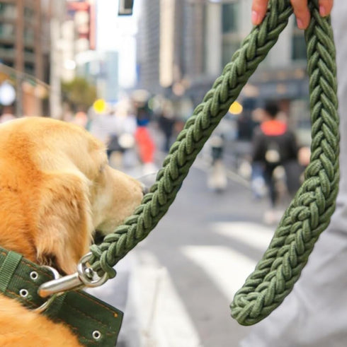 Premium Heavy Duty Braided Rope Dog Leash, Sturdy Durable Nylon Pet Training Lead for Small, Medium, and Large Dogs, 360 Degree Swivel Snap Clip A...