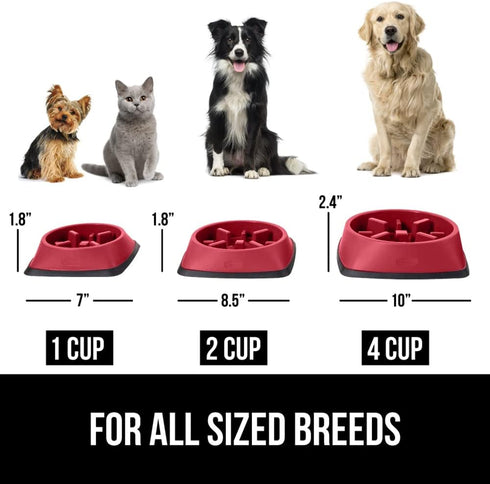 Gorilla Grip Slow Feeder Dog and Cat Bowls, Interactive Puzzle Toy for Dogs and Cats Food Training, Keeps Pets Busy and Prevents Puppy Overeating,...