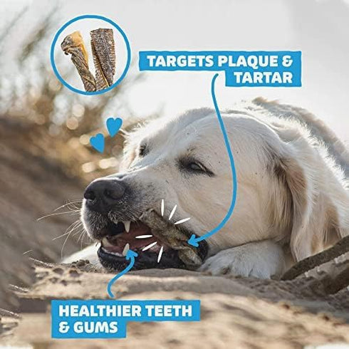 SKIPPER'S Cod Fish Skin Twists Dog Chews - 100% Fish Skin Grain Free Treats for Dogs, High in Protein & Low in Fat, Essential Omega 3 Oils | Great...