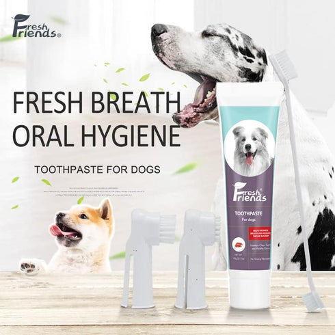 FRESH FRIENDS Enzymatic Dog Tooth Brushing Kit | Dog Toothbrush and Toothpaste | Puppy Tooth Brushing Kit | Dog Teeth Cleaning Kit | Improves Gum ...