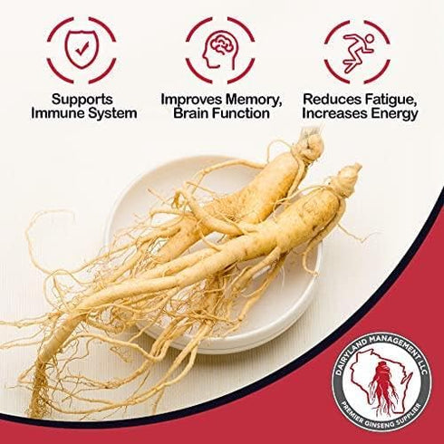 Dairyland Concentrated American Ginseng Powder ??? - 4 oz Pack of Wisconsin Ginseng Powder - Non-GMO, Gluten Free - Herbal Supplement for Smoothie...
