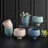 47th & Main Flower Indoor Plants | Modern Ceramic Planter Pot, 5" Dia x 3.5" H, Sage Green...