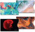 8 RFID Blocking Sleeves, Credit Card Protector, Anti-Theft Credit Card Holder, Easy to Recognize, Vivid Color Prints...