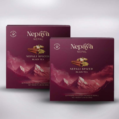 Organic Nepali Spiced Black Tea 30 Count (Pack of 2), Whole Loose Leaf Pyramid Tea Bags from the Himalayas, Biodegradable Tea Bags 100% Pure Blend...