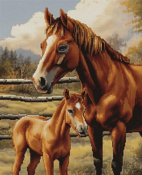 11 CT Cross Stitch Kits for Beginners Horse Mother Love Printed Stamped Cross-Stitch Supplies Needlework Printed Embroidery Kits DIY Kits Needlepo...