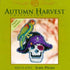 Mill Hill Irate Pirate - Fridge Magnet - Cross Stitch Kit...
