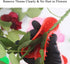 Plastic Rose Stripper Thorn Leaf Stripping Tool Rose Stem Remover Removal Tools Floral Arrangement for Garden Flower (Pink)...