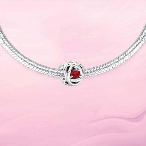 Birthstone Charms 925 Sterling Silver Love Heart Charms for Bracelet Necklace Happy Birthday Charms Eternity Circle Charm for Women...