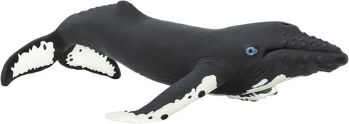 Safari Ltd. Humpback Whale Figurine - Detailed 7" Plastic Model Figure - Fun Educational Play Toy for Boys, Girls & Kids Ages 1+...