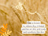Babo Botanicals Moisturizing Oat & Calendula Body Lotion - for Dry or Sensitive Skin - for All Ages - Vegan - Lightly Scented - 1 or 2 Pack...