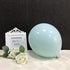 Pastel Mint Balloons 10 inch 100pcs Mint Green Latex Balloons for Party Birthday Wedding Anniversary or any Party Decorations-pastel Mint...