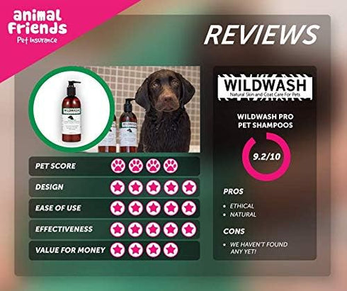 PRO Hydrating (Conditioning) Dog Shampoo for Dry and Flaky Coats - with Manuka, Lavender and Aloe Vera - Made in UK Natural Pet Care - 10.2 fl oz ...