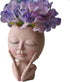 Face Flower Pot Head Planter Pot Cute Lady Face Succulent Planter Resin Cactus Planter Funny Head Plant Pot for Home Garden (Corlor A)...