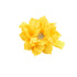 NEW Girl Baby Headbands (8) (Ivory+Yellow)...