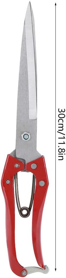 Sheep Shear, Sheep Scissor, Professional Stainless Steel Safety Sheep Wool Shear with Spring for Grooming Heavy Duty Coated Pet Grooming Scissor f...