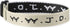 Elevated Faith WWJD Surf Bracelet Pack...