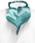 Biagio ASCOT Solid TURQUOISE AQUA BLUE Color Cravat Men's Neck Tie...