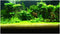 3D Prints Fish Tank Background Aquarium Underwater Backdrop Image Decor Poster for Fish Tank Wallpaper...