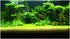 3D Prints Fish Tank Background Aquarium Underwater Backdrop Image Decor Poster for Fish Tank Wallpaper...