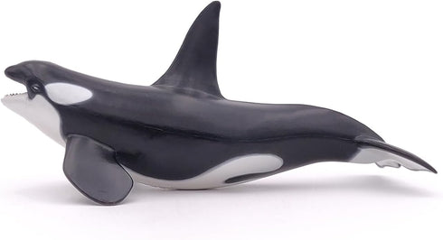 Papo - hand-painted - figurine - Marine Life - Killer Whale Figure-56000 - Collectible - For Children - Suitable for Boys and Girls - From 3 years...